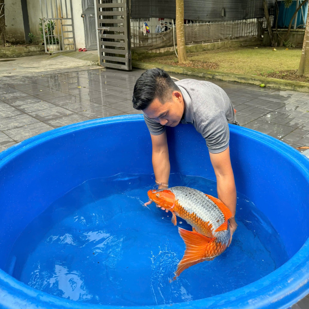 Chàng trai 9x Đất Cảng - Nông dân Việt Nam xuất sắc 2025