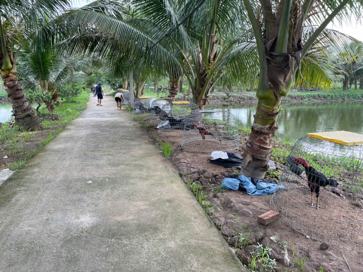 Chàng trai 9x Đất Cảng - Nông dân Việt Nam xuất sắc 2025