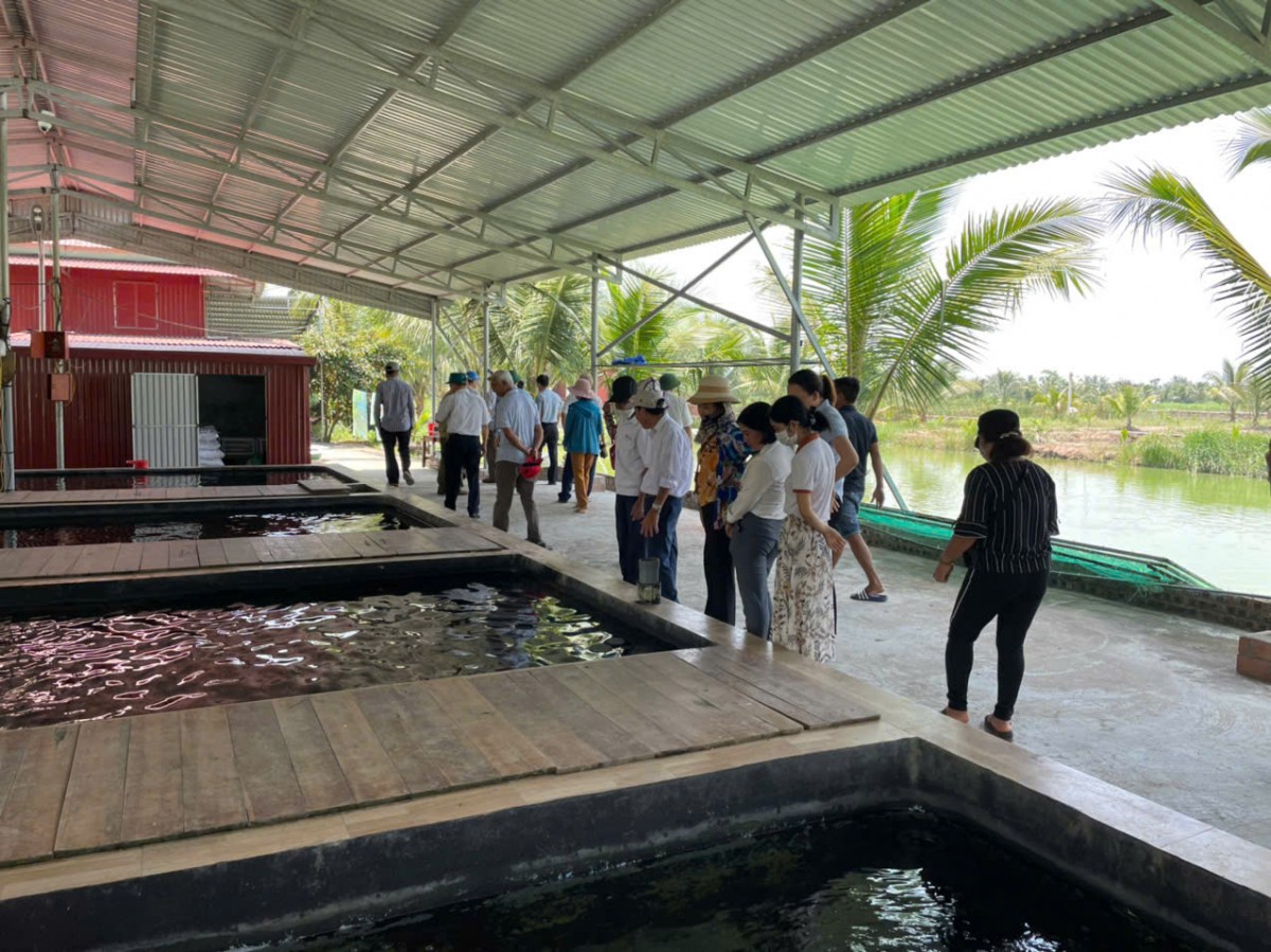 Chàng trai 9x Đất Cảng - Nông dân Việt Nam xuất sắc 2025