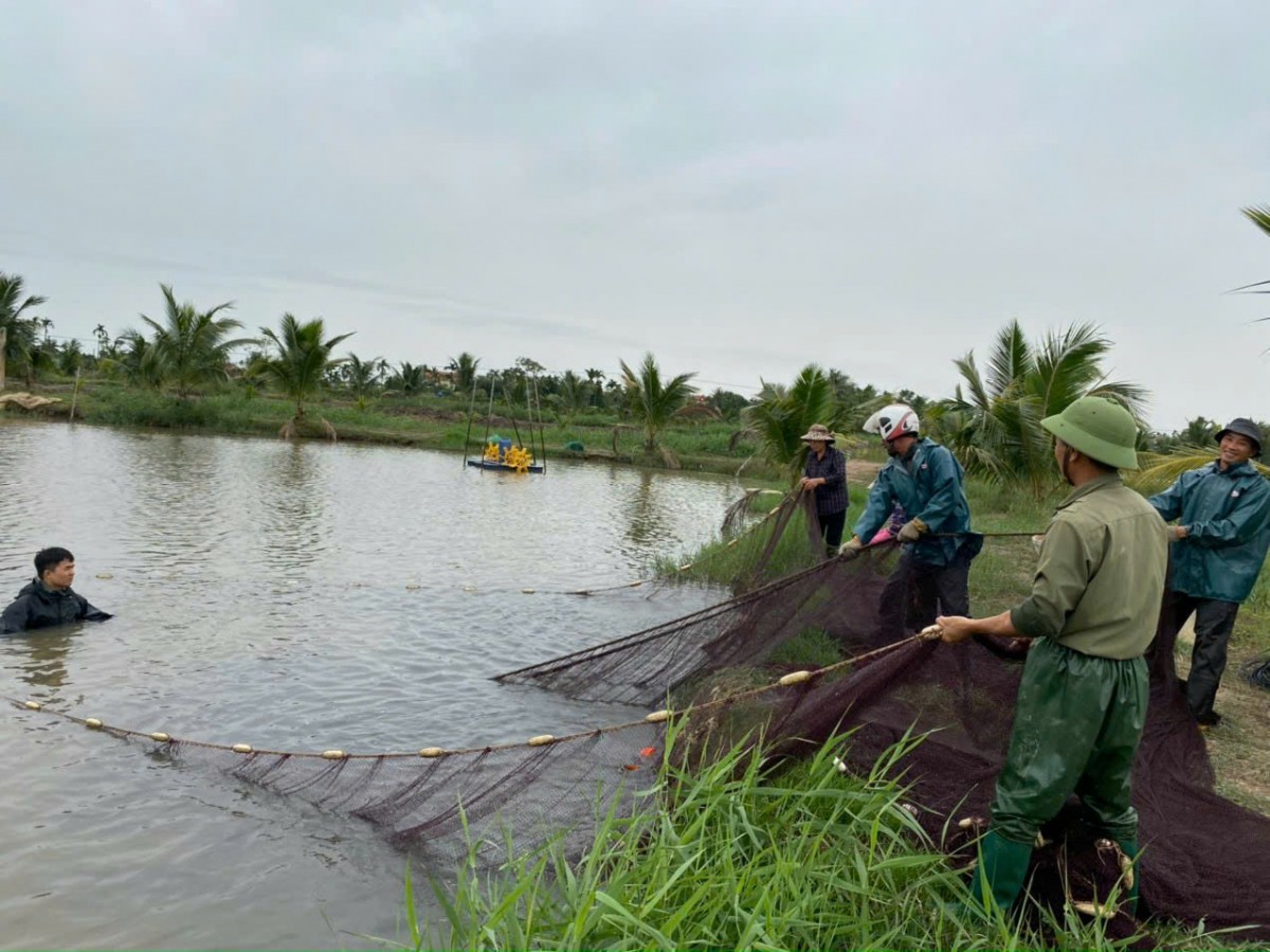 Chàng trai 9x Đất Cảng - Nông dân Việt Nam xuất sắc 2025