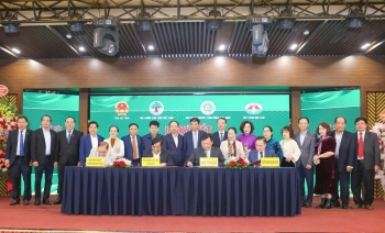 “Bức tranh sáng” nông nghiệp hữu cơ Hà Tĩnh