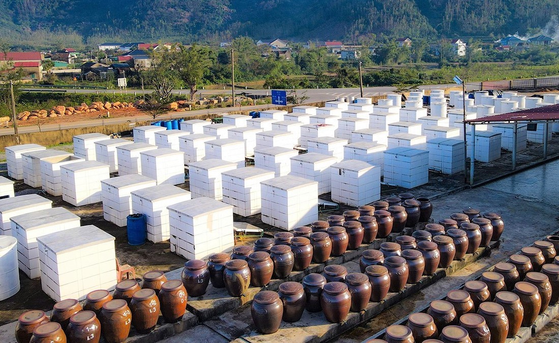 “Bức tranh sáng” nông nghiệp hữu cơ Hà Tĩnh