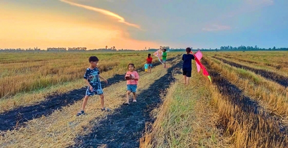 Mùa xuân và cánh đồng tuổi thơ