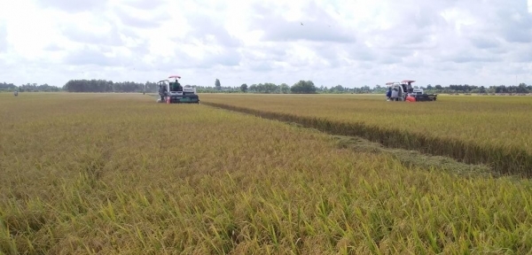 Tăng tốc phát triển kinh tế, nâng cao thu nhập người dân