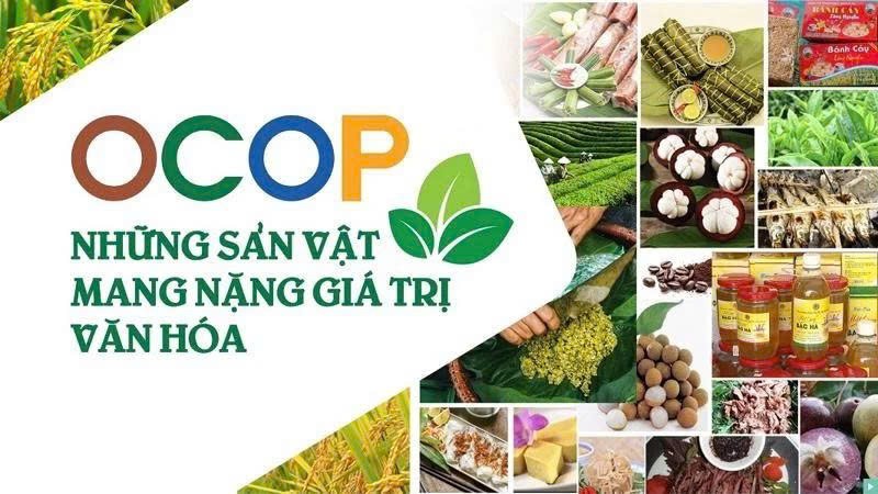 Lâm Đồng ban hành chính sách hỗ trợ sản xuất VietGAP giai đoạn 2026 - 2030