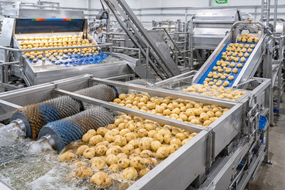 Công nghệ chế biến khoai tây 60 tấn mỗi giờ