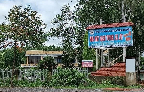 Thu hồi hơn 300 triệu đồng sai phạm của Công ty Cổ phần vật liệu xây dựng Đắk Nông
