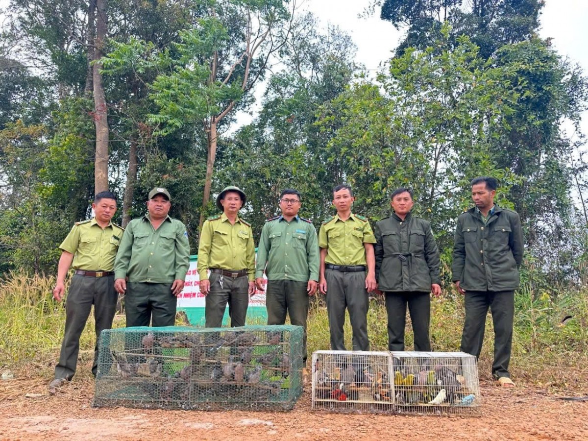 Công tác bảo vệ động vật hoang dã và nguồn lợi thủy sản: Vi phạm vẫn còn diễn biến phức tạp