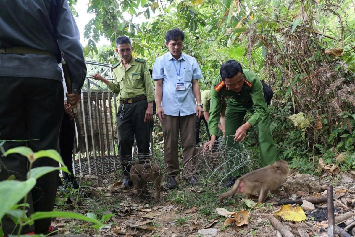 Công tác bảo vệ động vật hoang dã và nguồn lợi thủy sản: Vi phạm vẫn còn diễn biến phức tạp