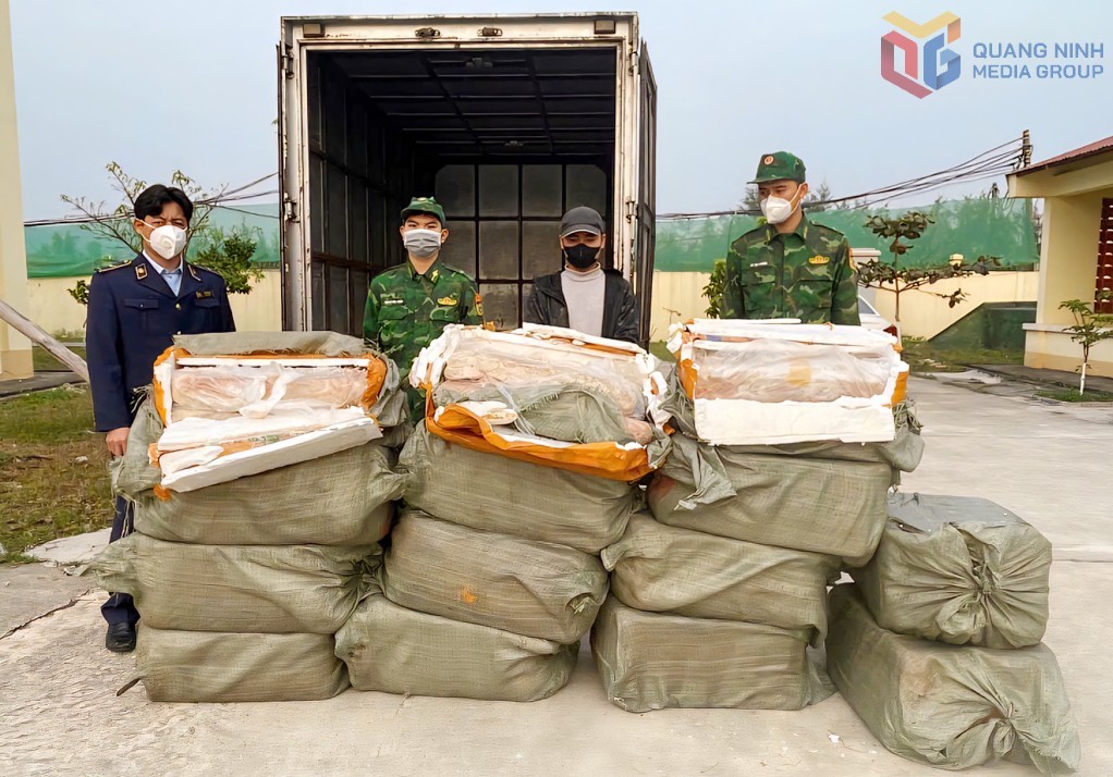 Quảng Ninh: Xử phạt hành chính lái xe vận chuyển nầm lợn không rõ nguồn gốc