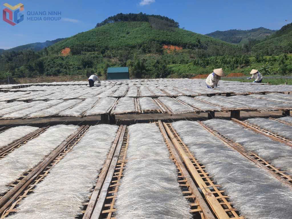 Nông sản Quảng Ninh: Từ lợi thế bản địa đến giá trị kinh tế xanh bền vững