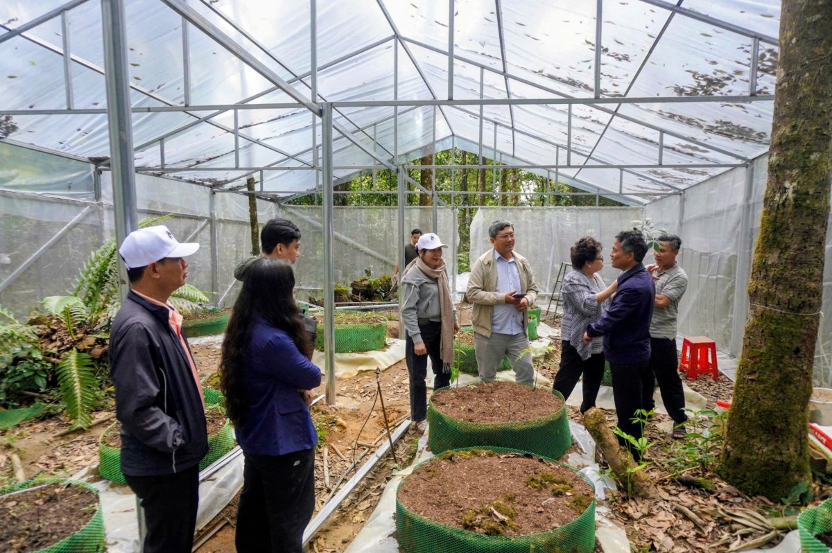 Thay đổi nếp nghĩ, cách làm, hành động quyết liệt để đưa Nghị quyết của Đảng vào cuộc sống