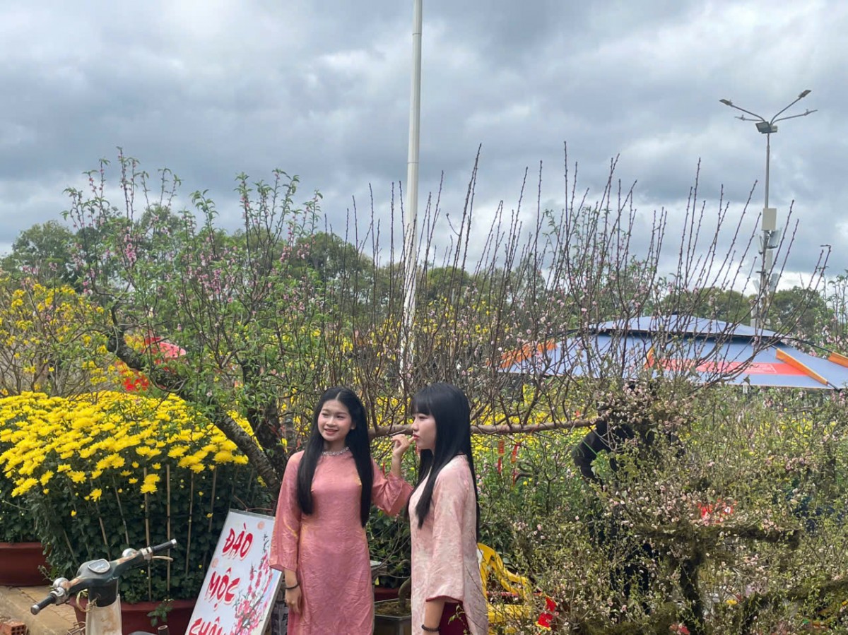 Buôn Ma Thuột như bản tình ca phố núi mùa xuân Bính Ngọ