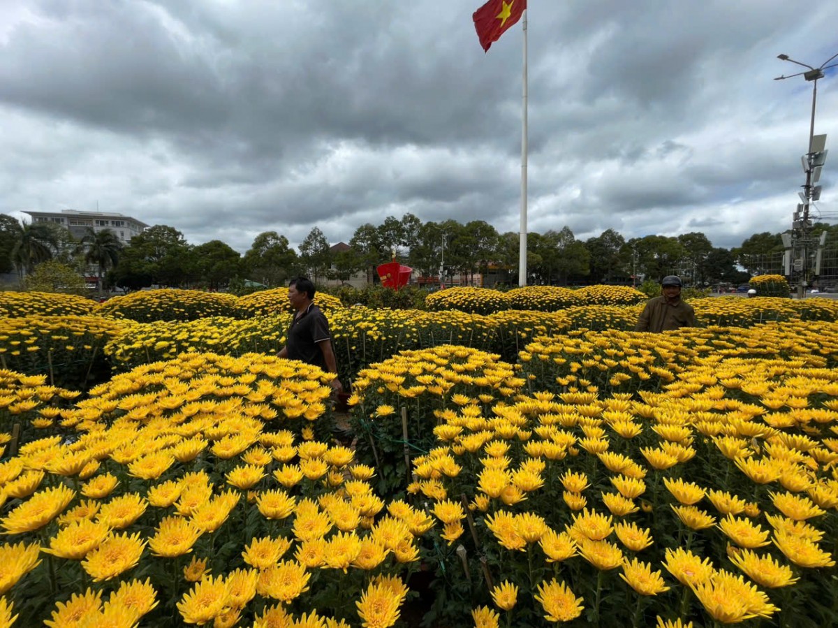 Buôn Ma Thuột như bản tình ca phố núi mùa xuân Bính Ngọ