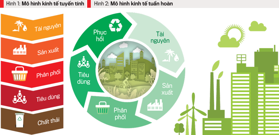 Kinh tế tuần hoàn: Giải pháp phát triển doanh nghiệp bền vững