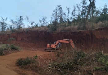 Lâm Đồng: Yêu cầu tăng cường công tác quản lý, bảo vệ  rừng, đất lâm nghiệp và PCCCR