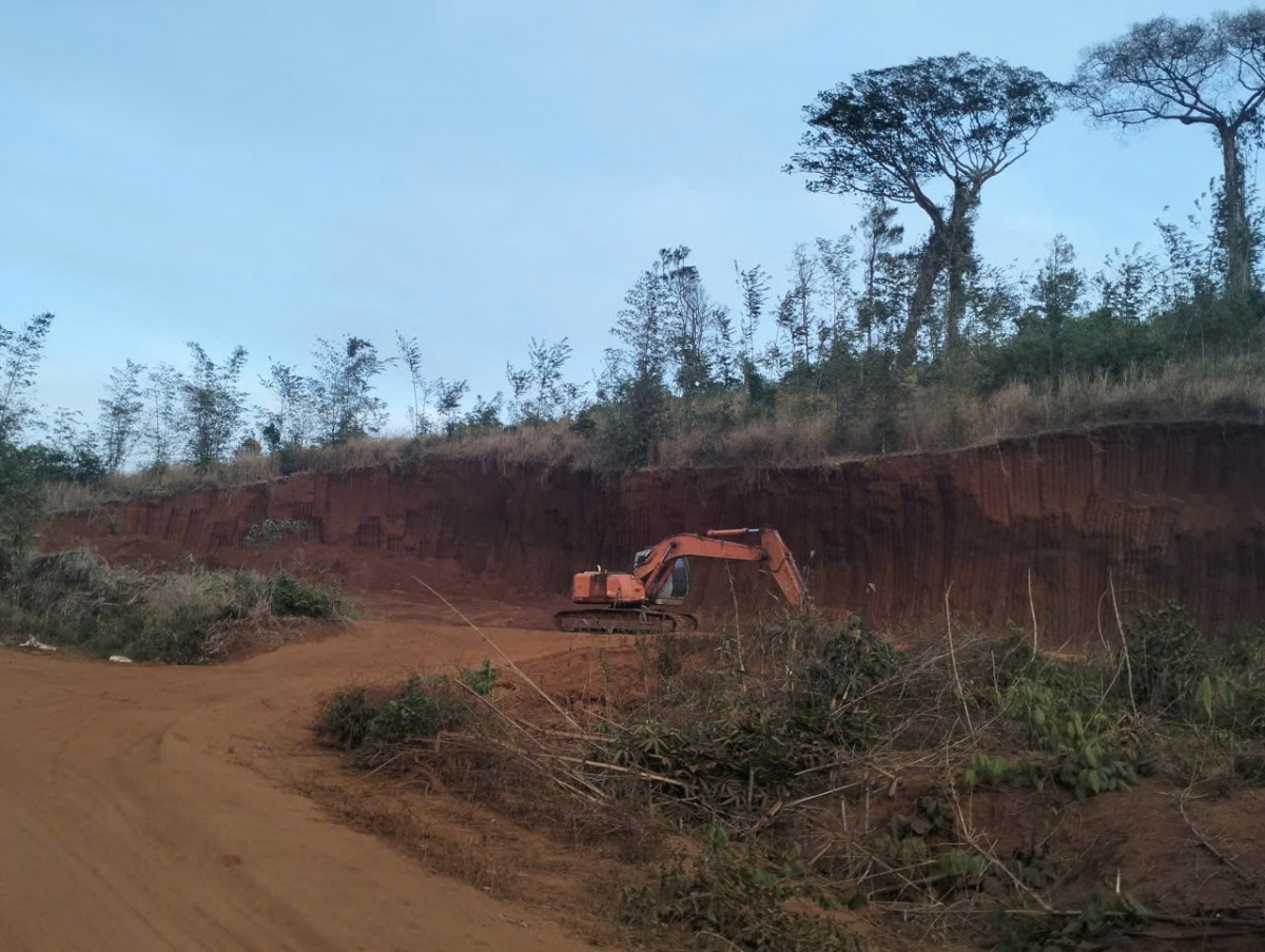 Lâm Đồng: Yêu cầu tăng cường công tác quản lý, bảo vệ  rừng, đất lâm nghiệp và PCCCR