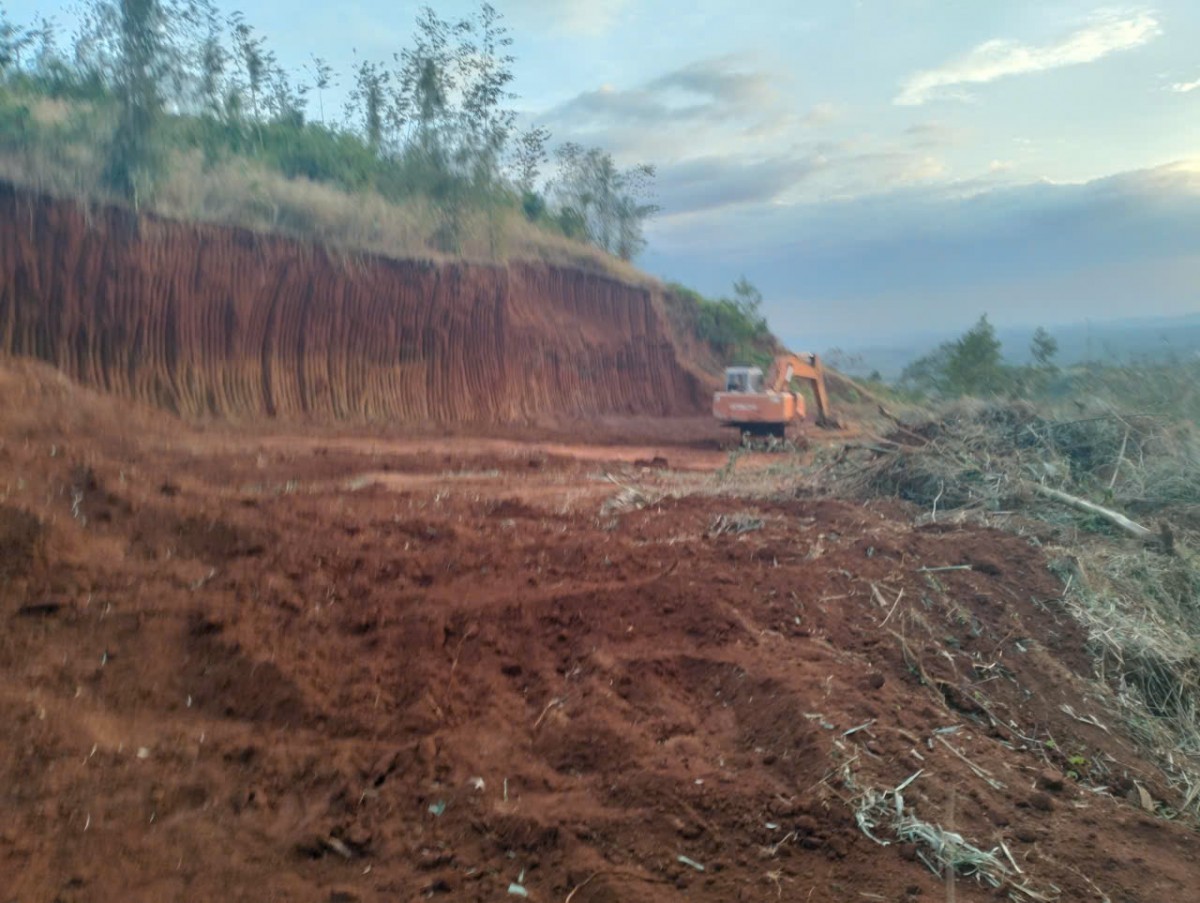 Lâm Đồng: Yêu cầu tăng cường công tác quản lý, bảo vệ  rừng, đất lâm nghiệp và PCCCR