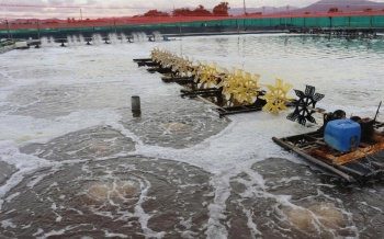 Tháo gỡ khó khăn để thu hút đầu tư vào Khu sản xuất giống thủy sản tập trung Chí Công