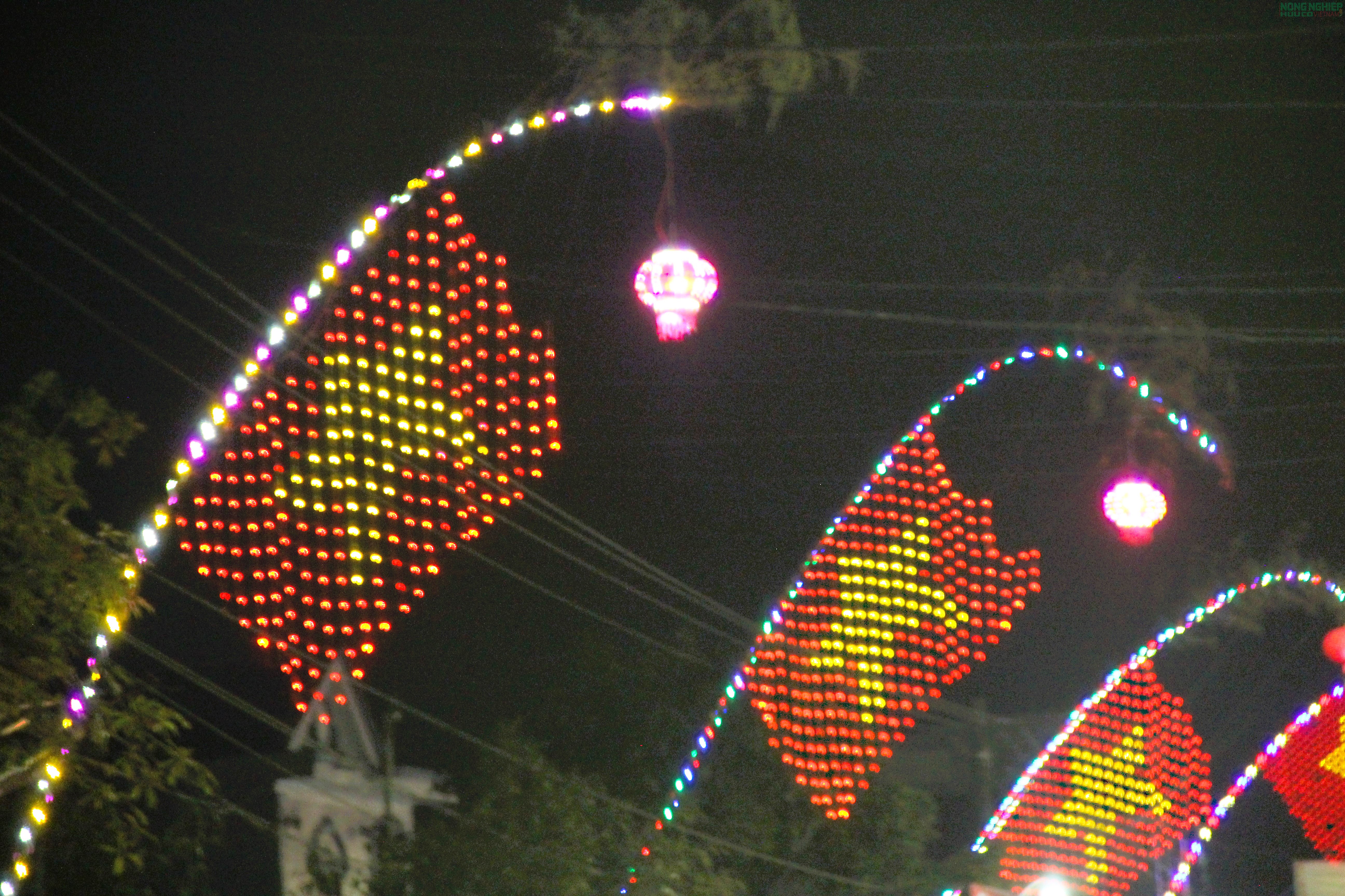 Lung linh những “cung đường nêu” đón Tết xứ Nghệ