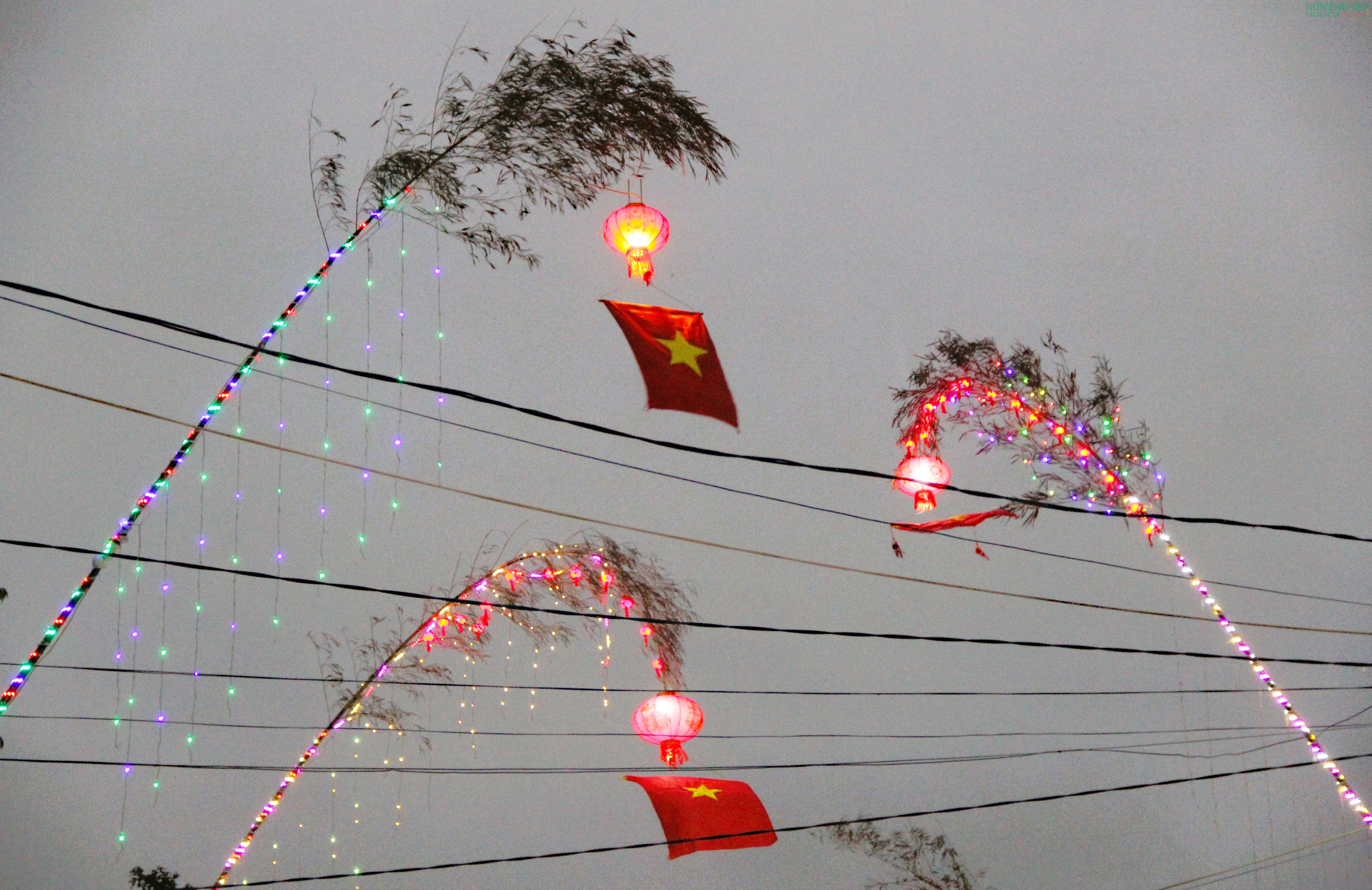 Lung linh những “cung đường nêu” đón Tết xứ Nghệ