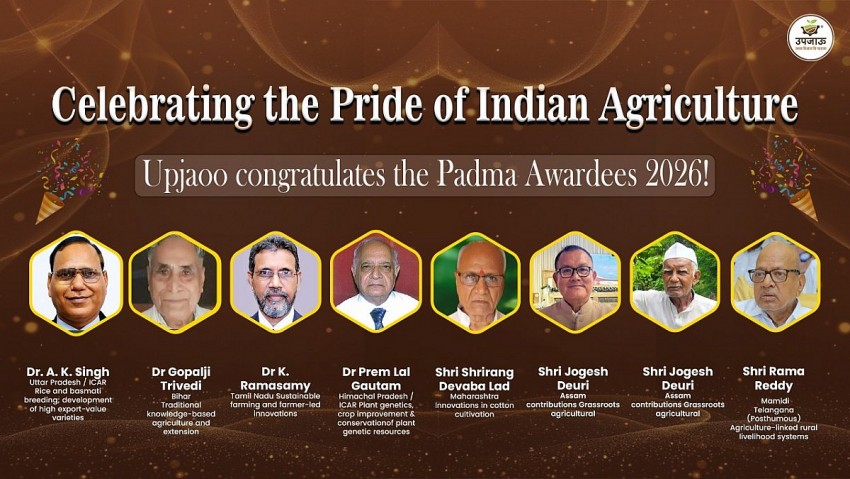 Nhà khoa và nông dân sáng tạo được vinh danh tại giải thưởng Padma Shri, Ấn Độ