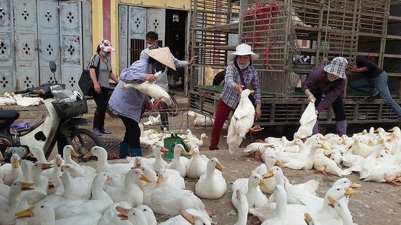 Tết của những người “gác cổng” thị trường