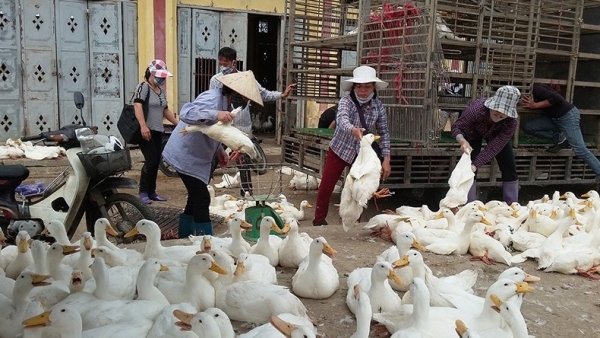 Tết của những người “gác cổng” thị trường