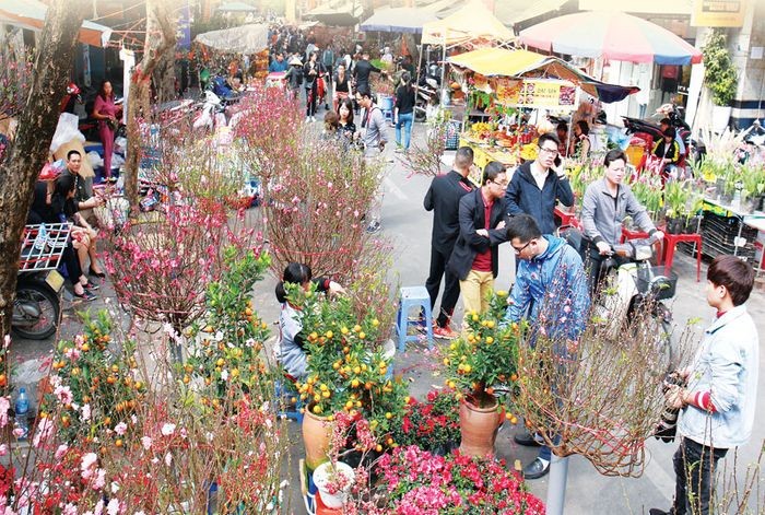 Xanh lại một mảnh hồn quê