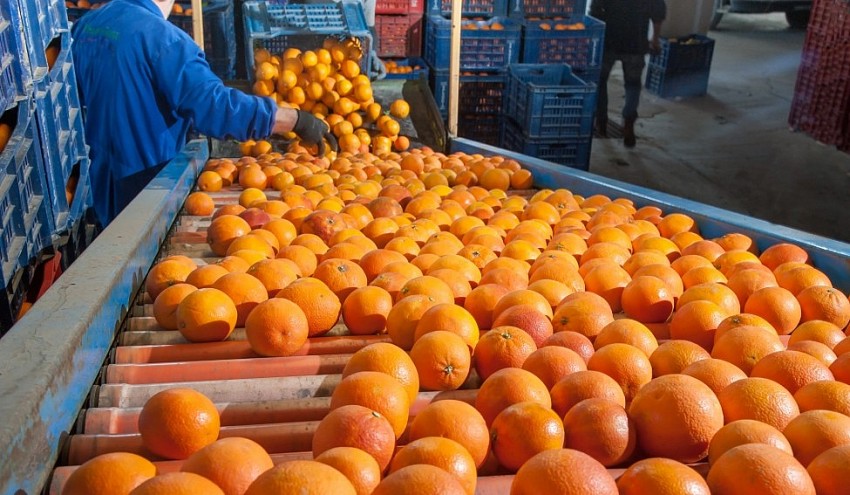 Giá nông sản thế giới biến động khi nước cam tăng mạnh , café và cacao tiếp tục lao dốc