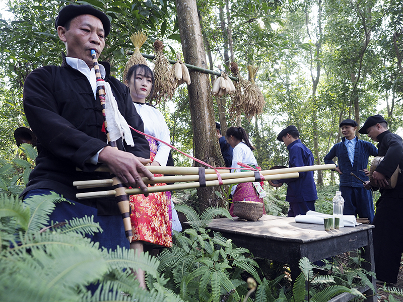 Tết “cấm rừng” - Nét văn hoá đẹp của đồng bào Mông