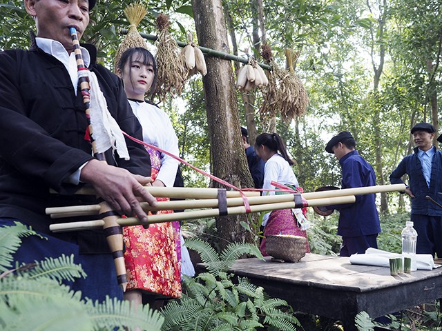 Tết “cấm rừng” - Nét văn hoá đẹp của đồng bào Mông