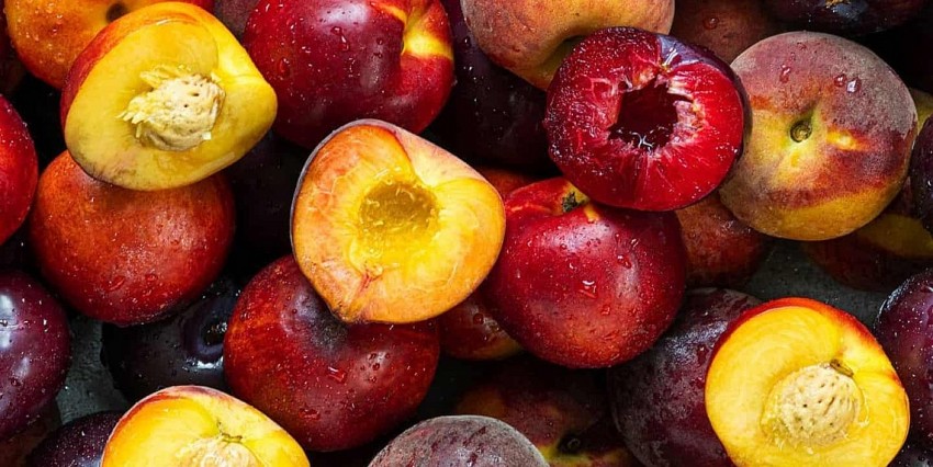 Nam Phi chính thức thâm nhập thị trường trái cây 200 tỷ USD của Trung Quốc