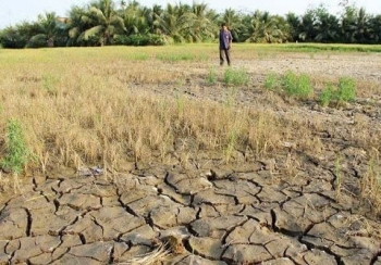 Thủ tướng Chính phủ chỉ đạo chủ động ứng phó xâm nhập mặn, hạn hán và nguy cơ cháy rừng