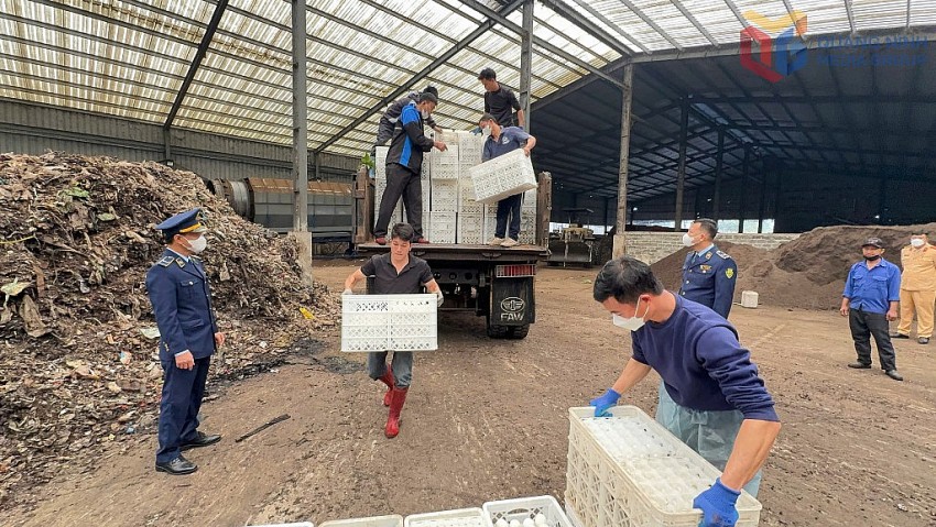 Lực lượng chức năng tiêu huỷ toàn bộ số trứng gia cầm không rõ nguồn gốc. ẢNh:QMG