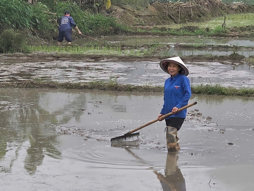Người dân xã Chấn Thịnh nô nức xuống đồng gieo cấy vụ xuân