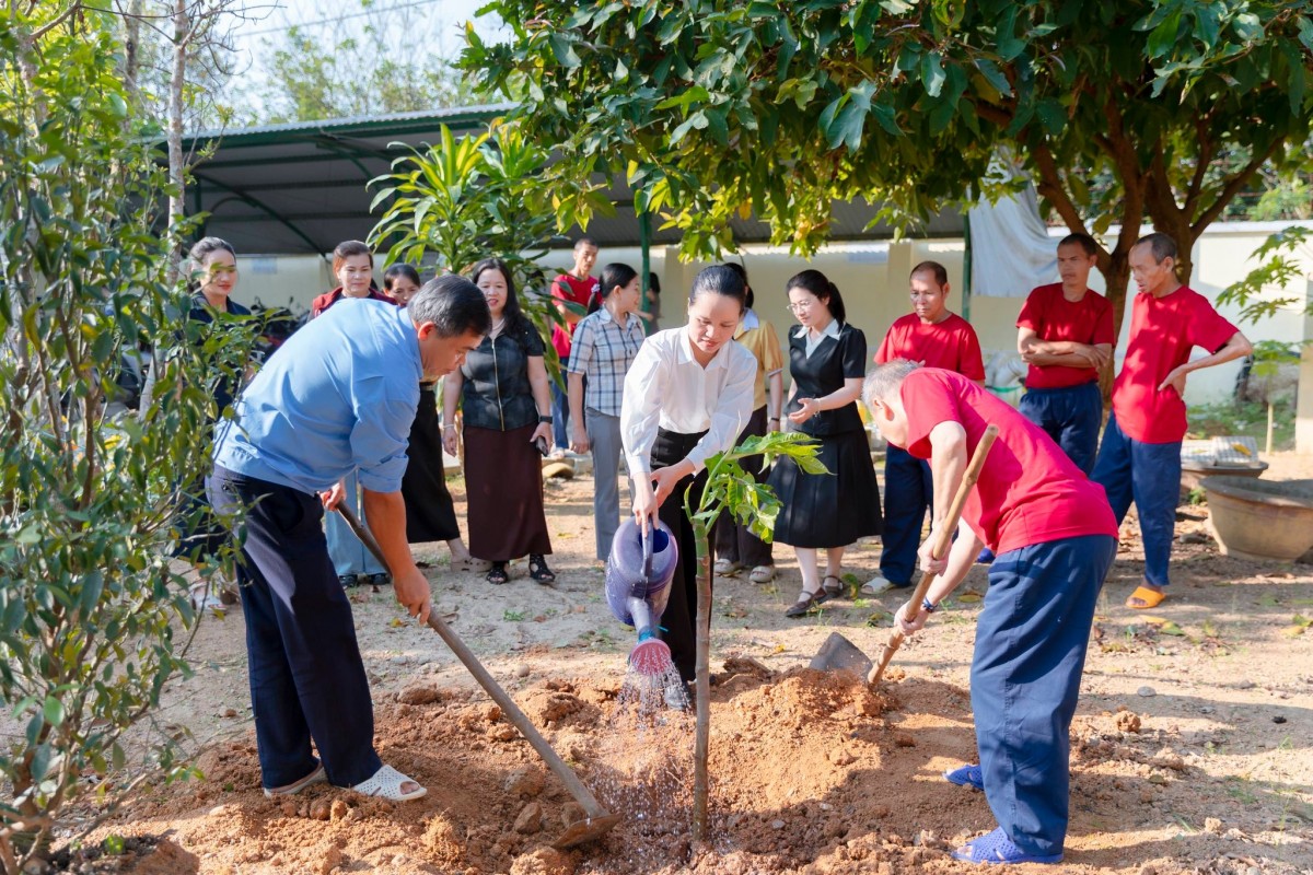 Tập thể cán bộ, viên chức Trung tâm Điều dưỡng người tâm thần Quảng Nam chung tay trồng cây đầu xuân, góp phần xây dựng môi trường xanh – sạch – đẹp.