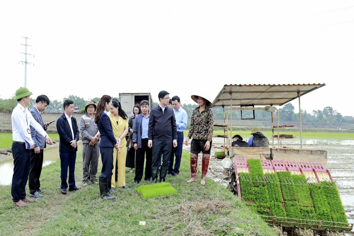 Hà Nội: Lãnh đạo xã Đa Phúc kiểm tra tiến độ gieo cấy vụ Xuân 2026