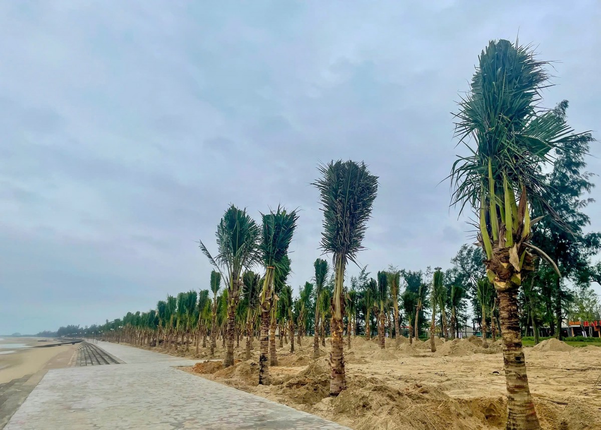 Nghệ An chung tay vì “Một cây xanh, một tương lai xanh”