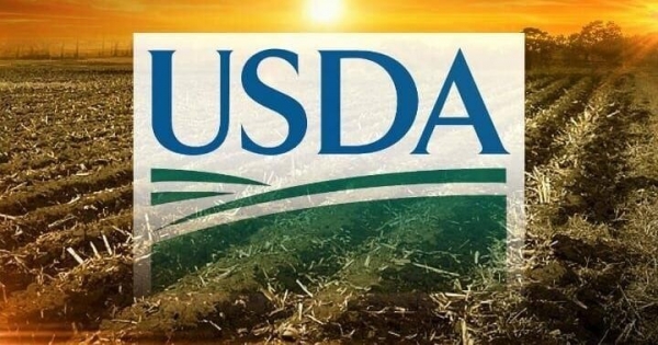 USDA công bố gói mua thực phẩm nhằm hỗ trợ nông dân và ổn định thị trường nông sản