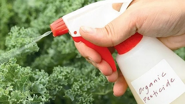 Hoa Kỳ lần đầu tiên cấp chứng nhận thuốc bảo vệ thực vật hữu cơ