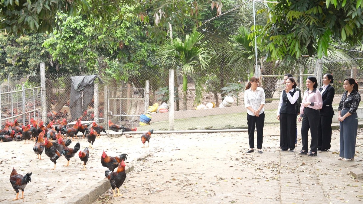 Hà Nội: Xã Quảng Oai kiểm tra tình hình sản xuất vụ Xuân, tạo động lực phát triển kinh tế địa phương