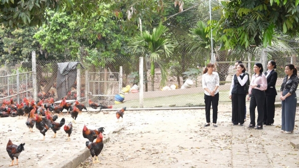 Hà Nội: Xã Quảng Oai kiểm tra tình hình sản xuất vụ Xuân, tạo động lực phát triển kinh tế địa phương