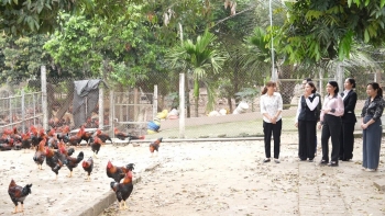 Hà Nội: Xã Quảng Oai kiểm tra tình hình sản xuất vụ Xuân, tạo động lực phát triển kinh tế địa phương