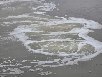 Lào Cai: Cần làm rõ nguồn nước có mầu vàng xả thải ra sông Hồng