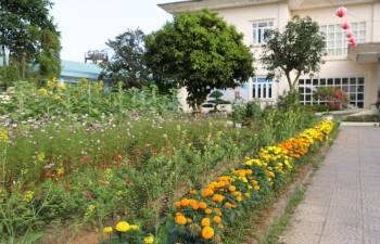 Không khí xuân ấm áp tại Trung tâm Điều dưỡng người tâm thần Quảng Nam