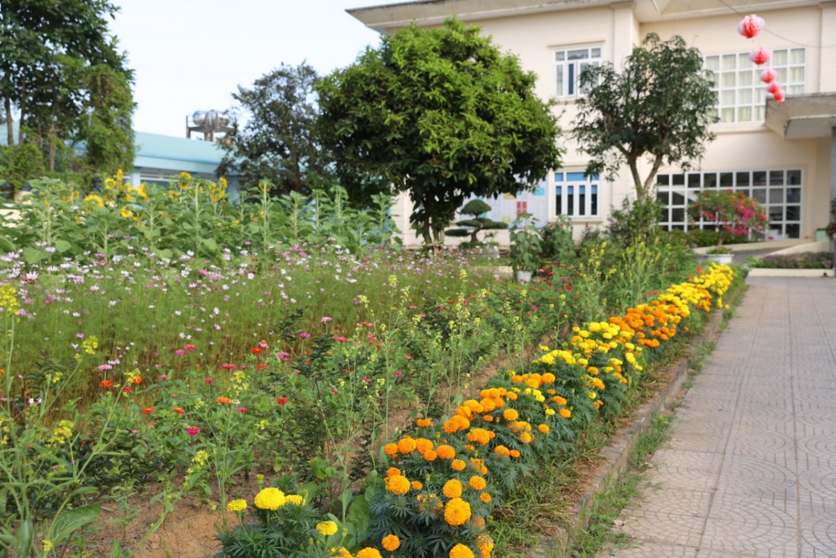Khuôn viên Trung tâm được chỉnh trang, trồng hoa và tạo cảnh quan xanh – sạch – đẹp, góp phần mang không khí xuân ấm áp đến với người bệnh.