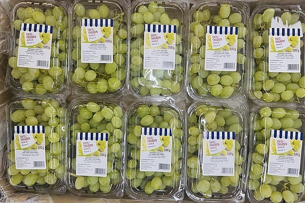 Nguy cơ thiếu hụt nho trắng không hạt tại châu Âu khi xuất khẩu từ Ấn Độ giảm mạnh