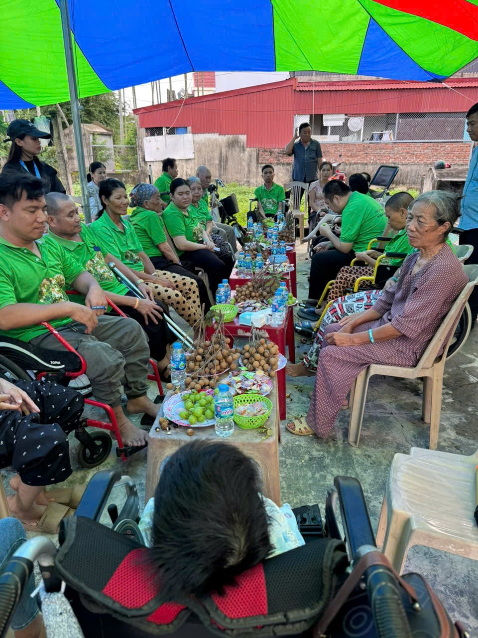 Khát Vọng Cỏ Dại: Khi nghị lực nở hoa trên sỏi đá