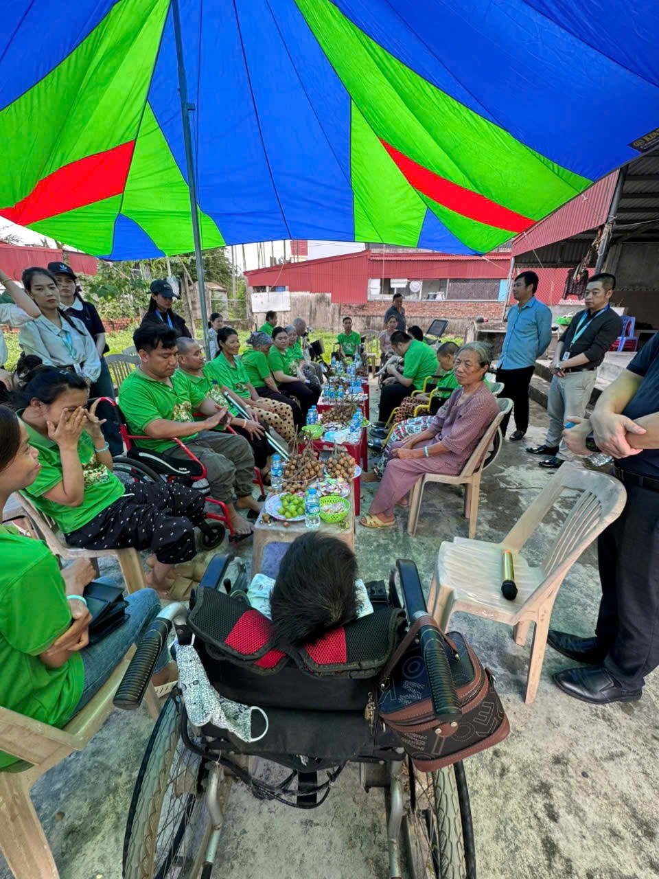 Khát Vọng Cỏ Dại: Khi nghị lực nở hoa trên sỏi đá